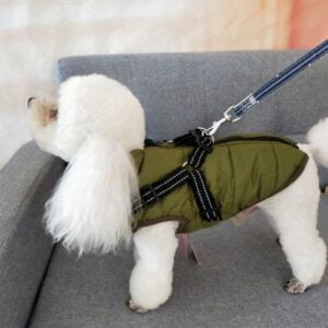 Waterproof Dog Winter Jacket With Harness