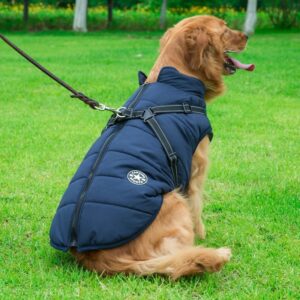Waterproof Dog Winter Jacket With Harness