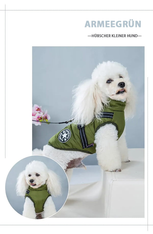 Waterproof Dog Winter Jacket With Harness