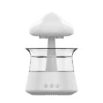 Rain Cloud Air Humidifier