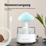 Rain Cloud Air Humidifier