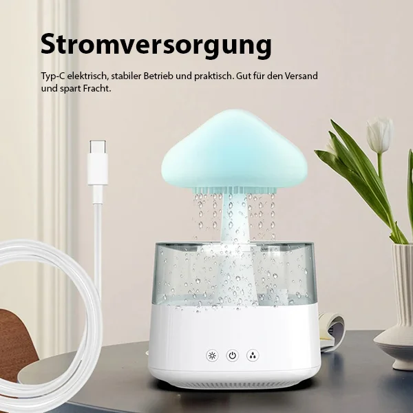 Rain Cloud Air Humidifier